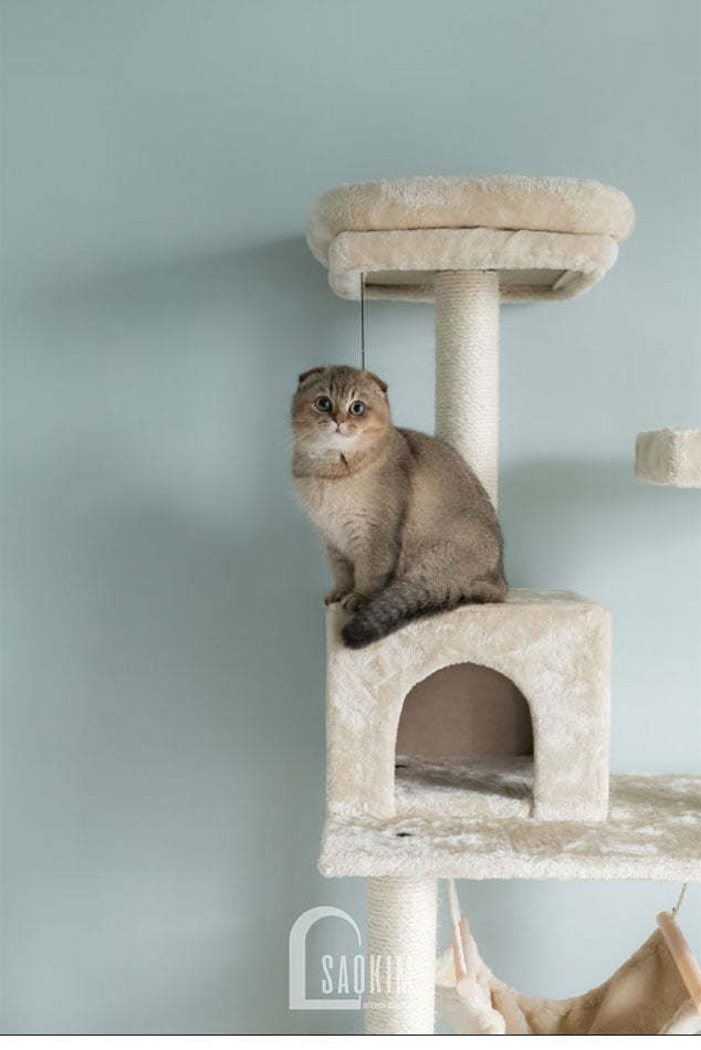 Góc nhỏ xinh dành cho bé mèo cưng của gia chủ